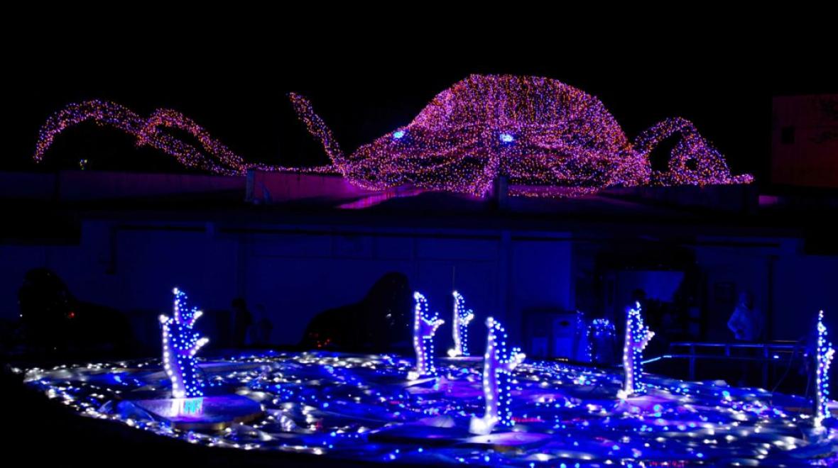 Zoolights Seattle Area Family Fun Calendar ParentMap